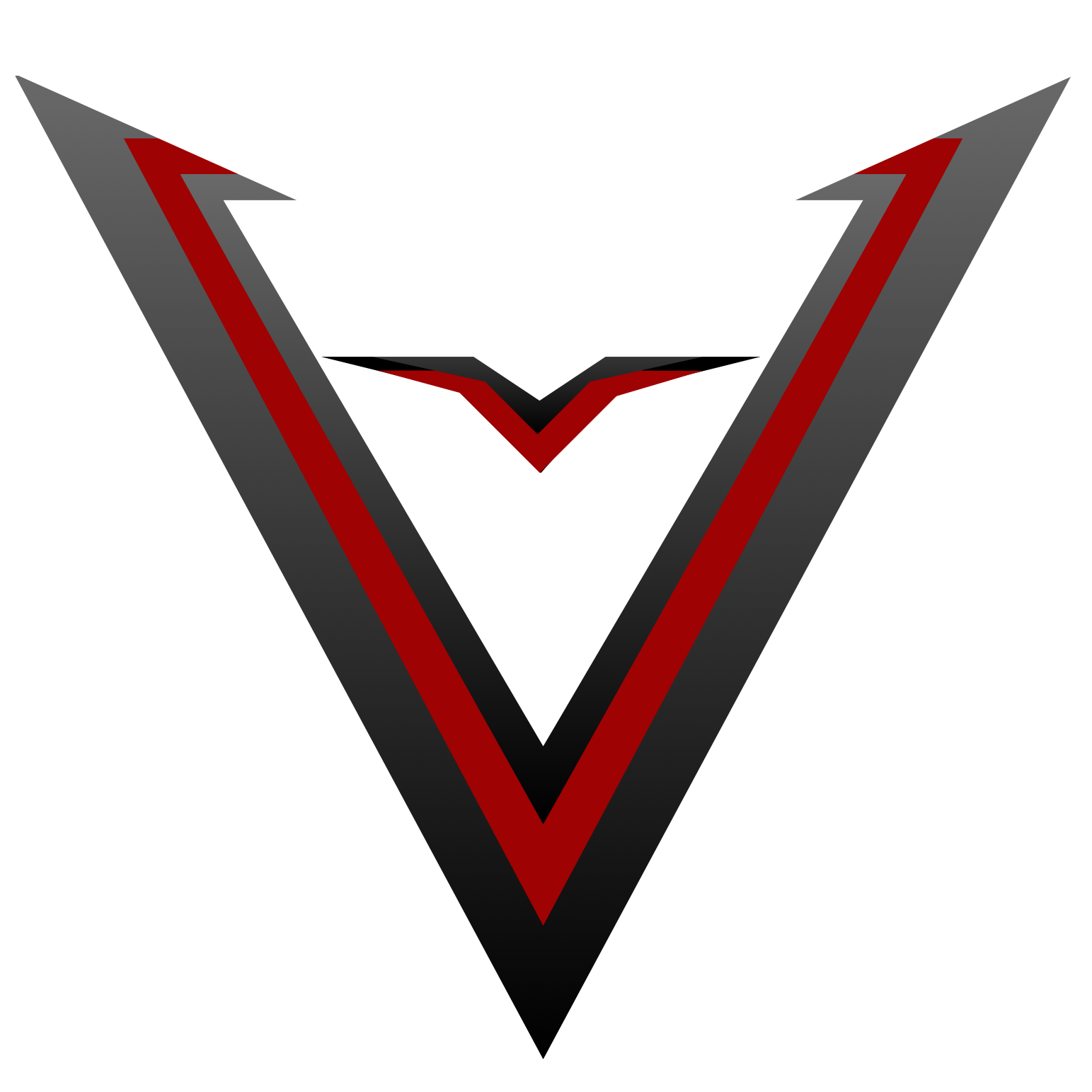 VENENO MOTORSPORT LLC