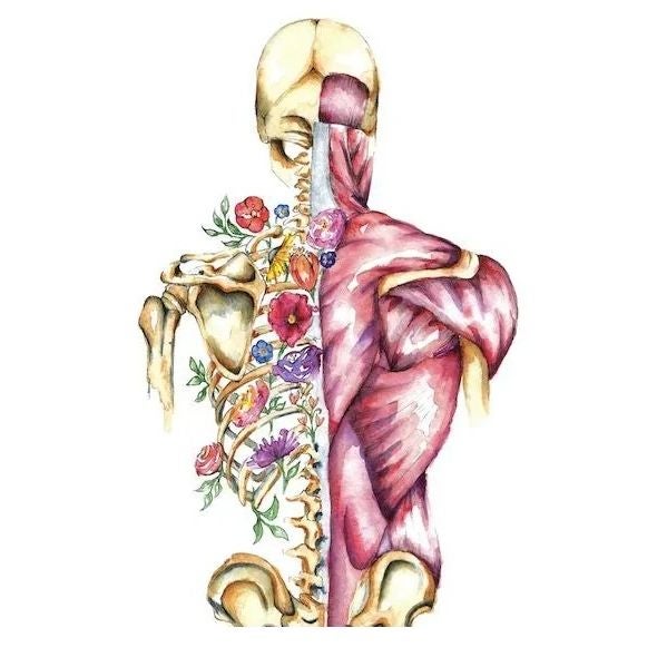 Beautiful Life Therapies