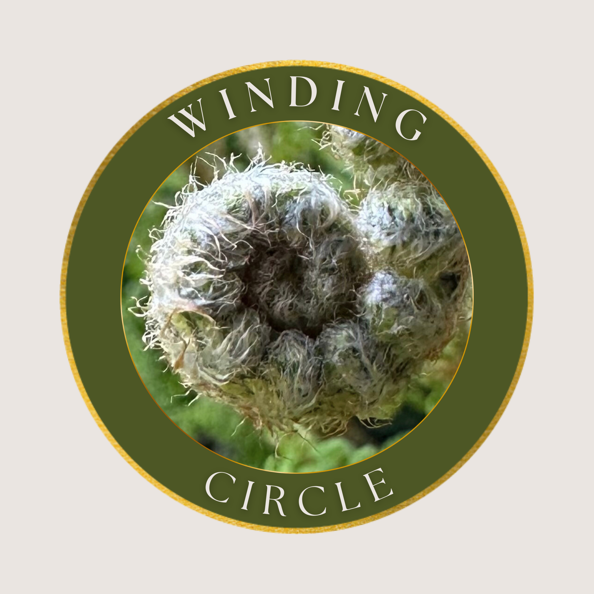 Winding Circle Massage, PLLC