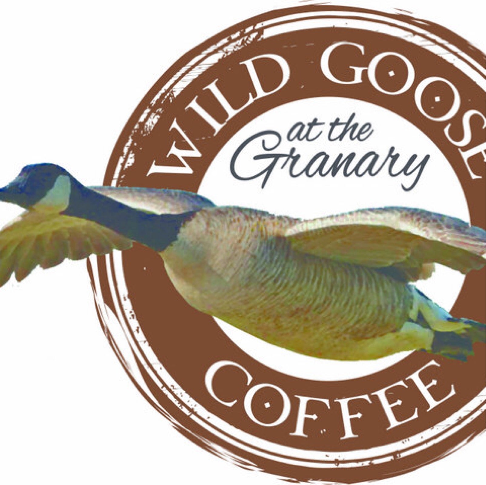 Wild Goose Coffee LLC