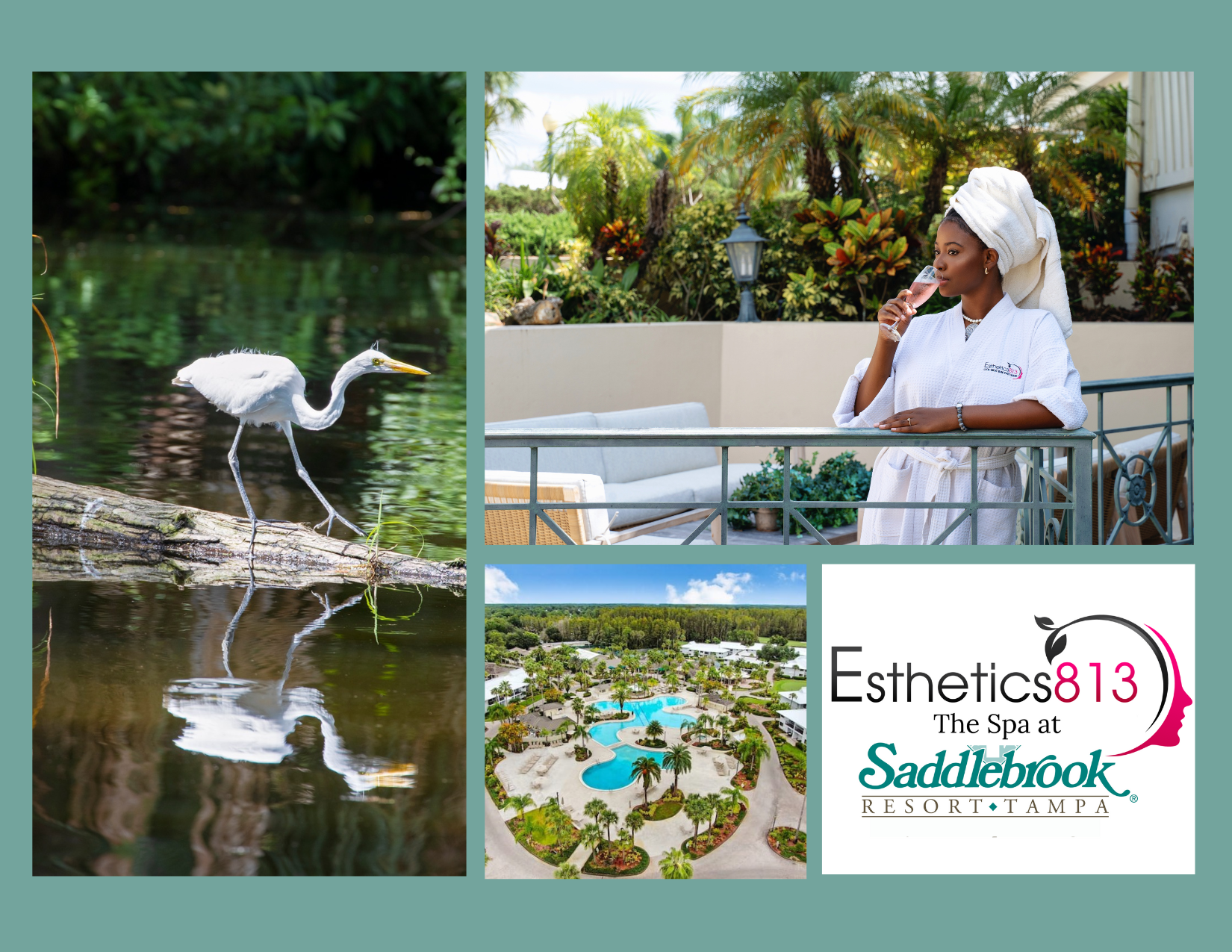 Esthetics813 - The Spa at Saddlebrook Resort