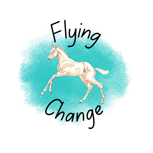 Flying Change