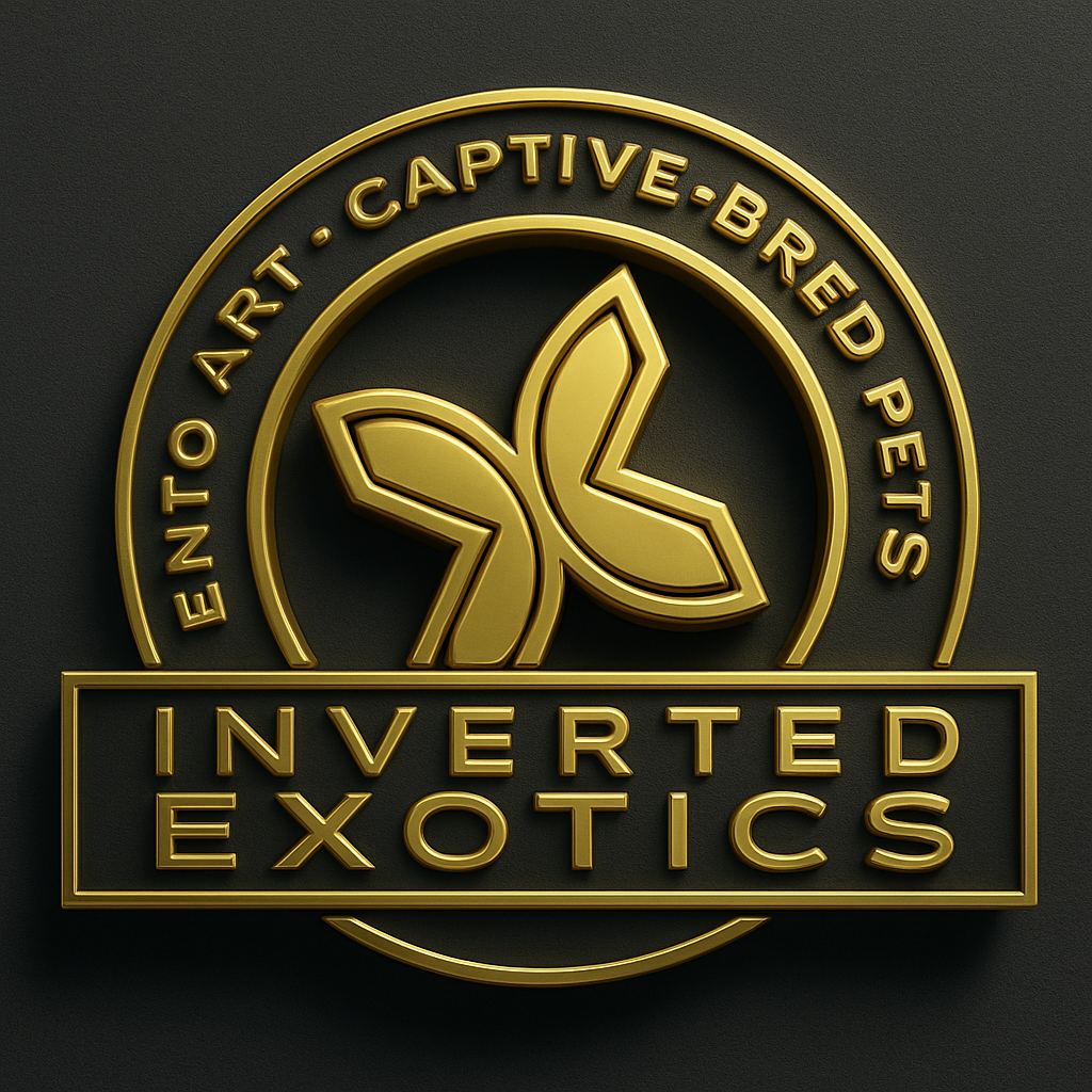 Inverted Exotics
