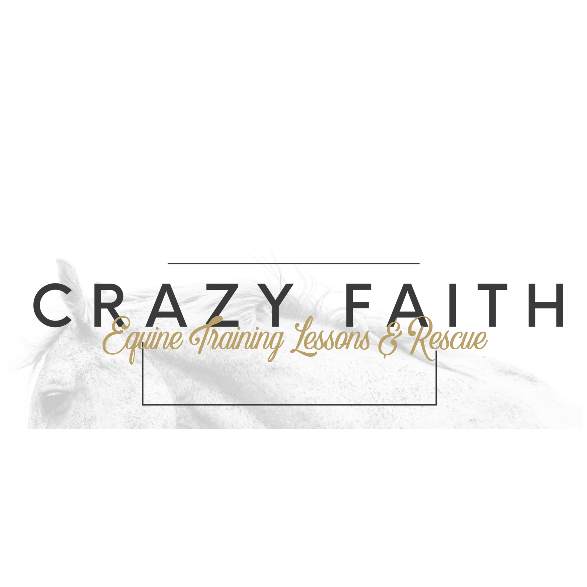 Crazy Faith Equine