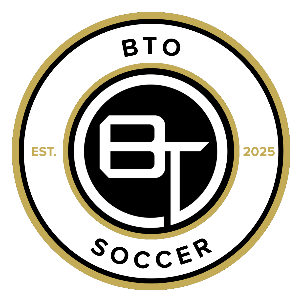 BTO Innovations LLC