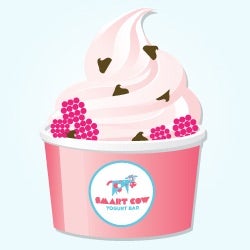 Smart Cow Yogurt Bar