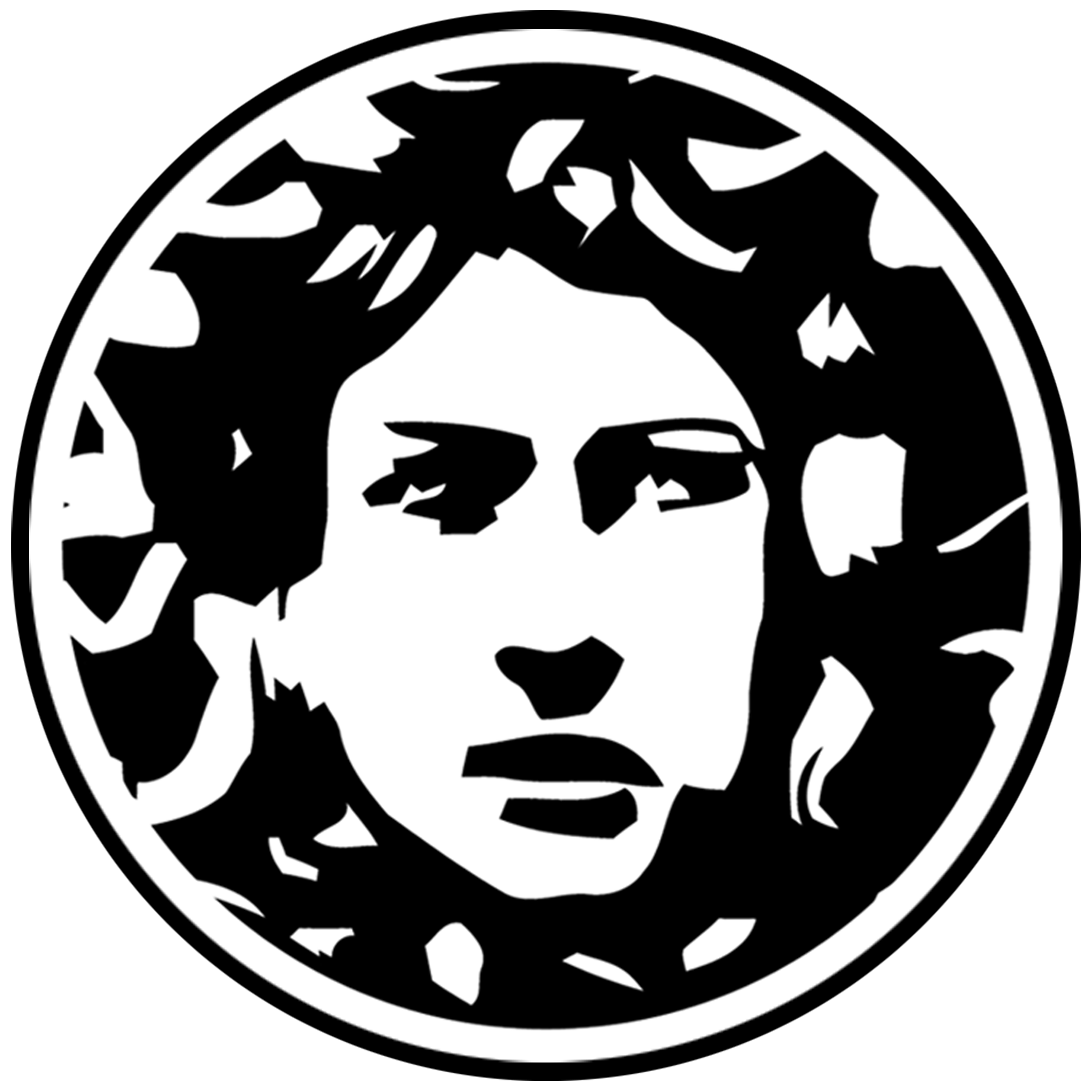 Medusa Brewing Company