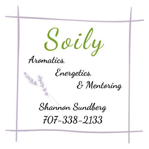 Shannon Sundberg ~ Soily Aromatics & Energetics
