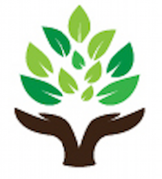 My Natural Health Center