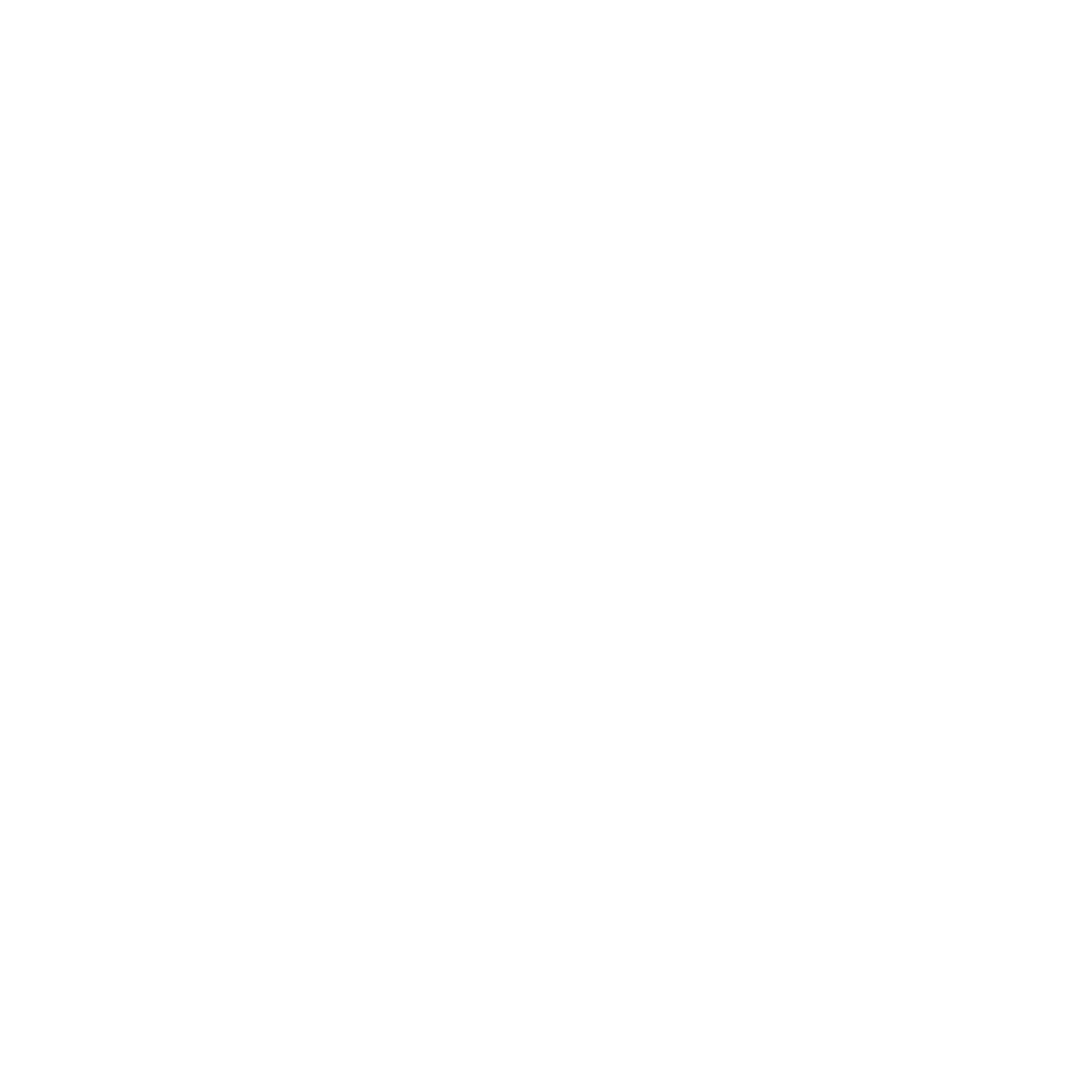 Syntropy Chiropractic Training