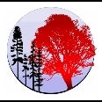 Red Oak Massage by Ann Timmerman