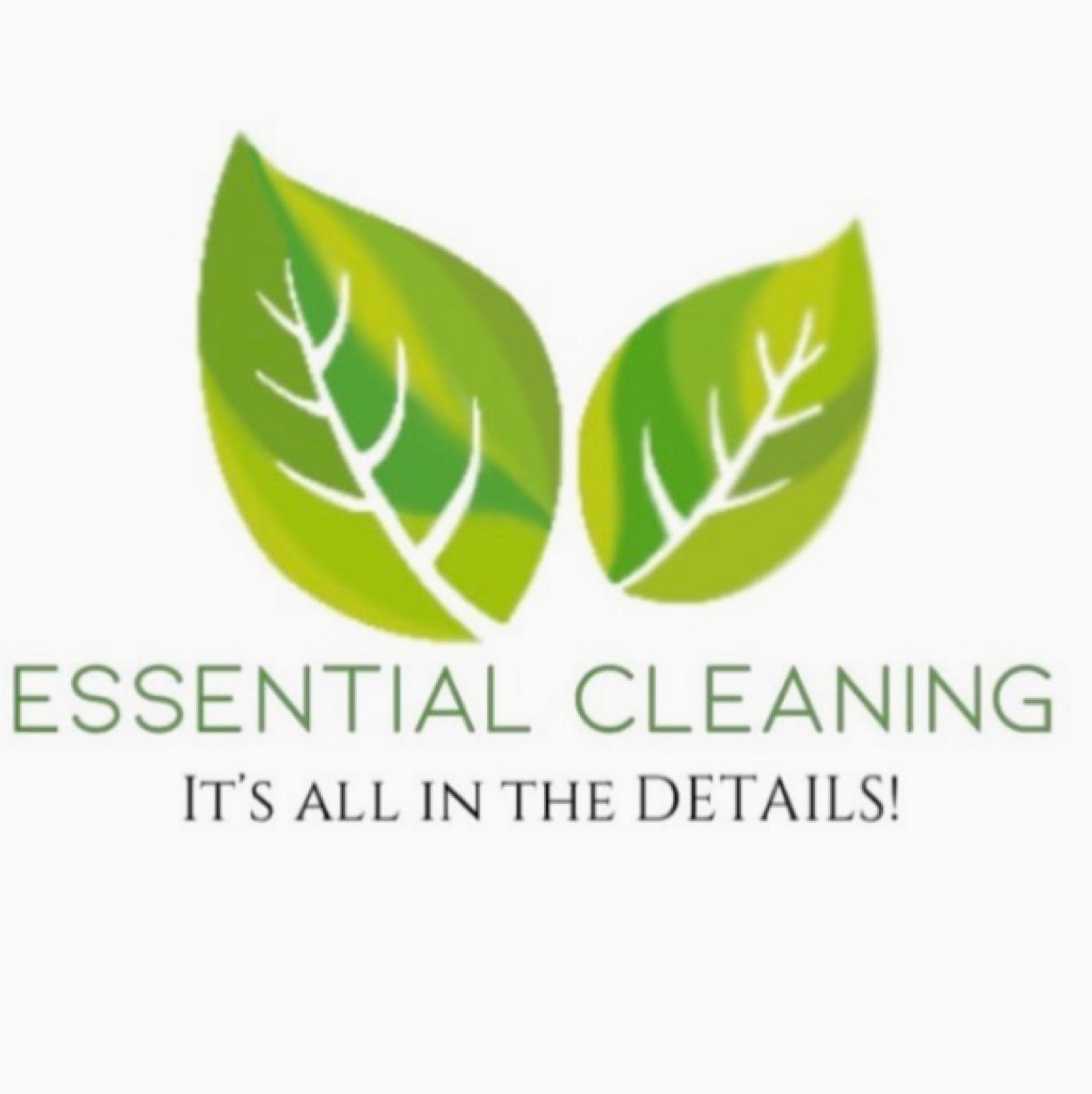 ESSENTIAL CLEANING