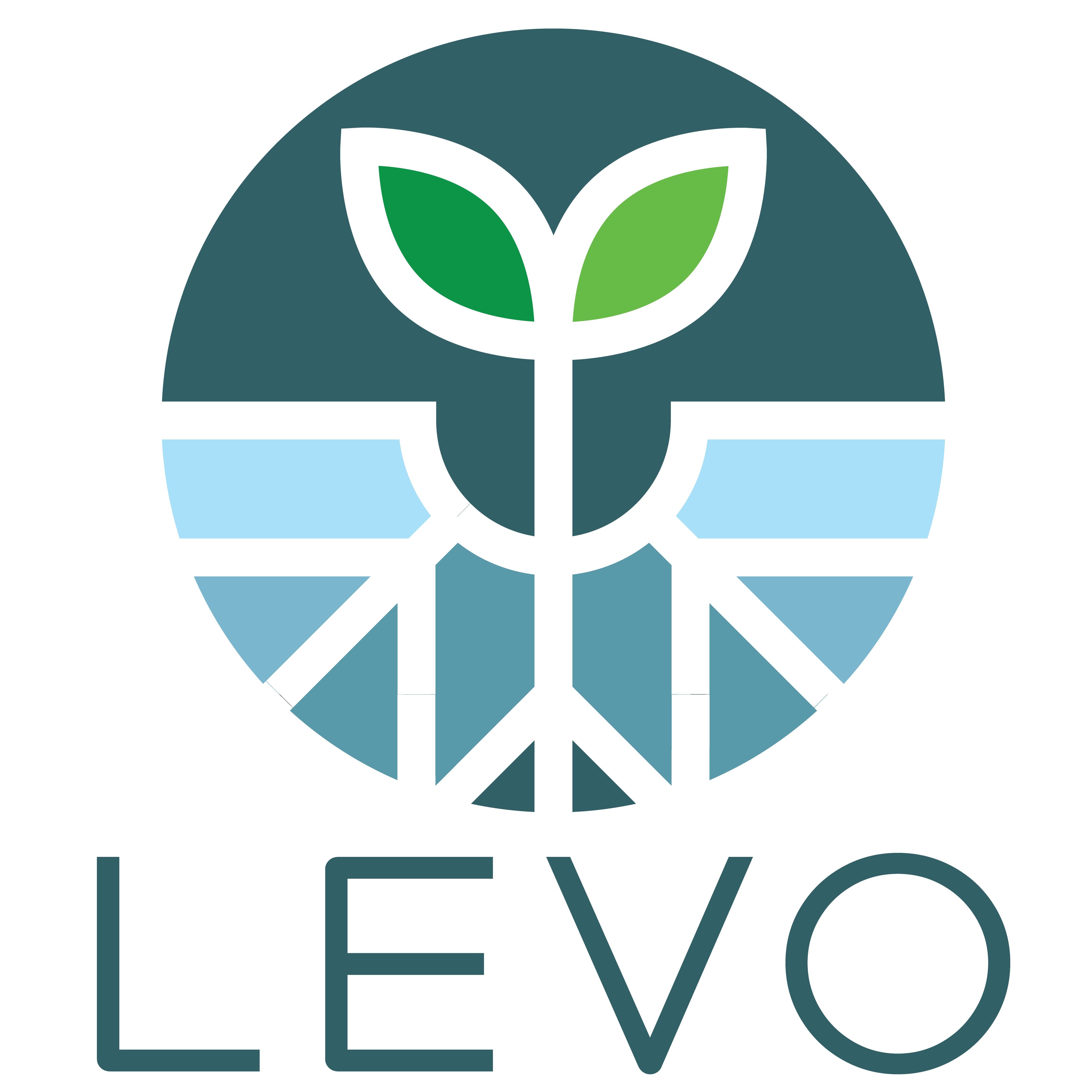 Levo International