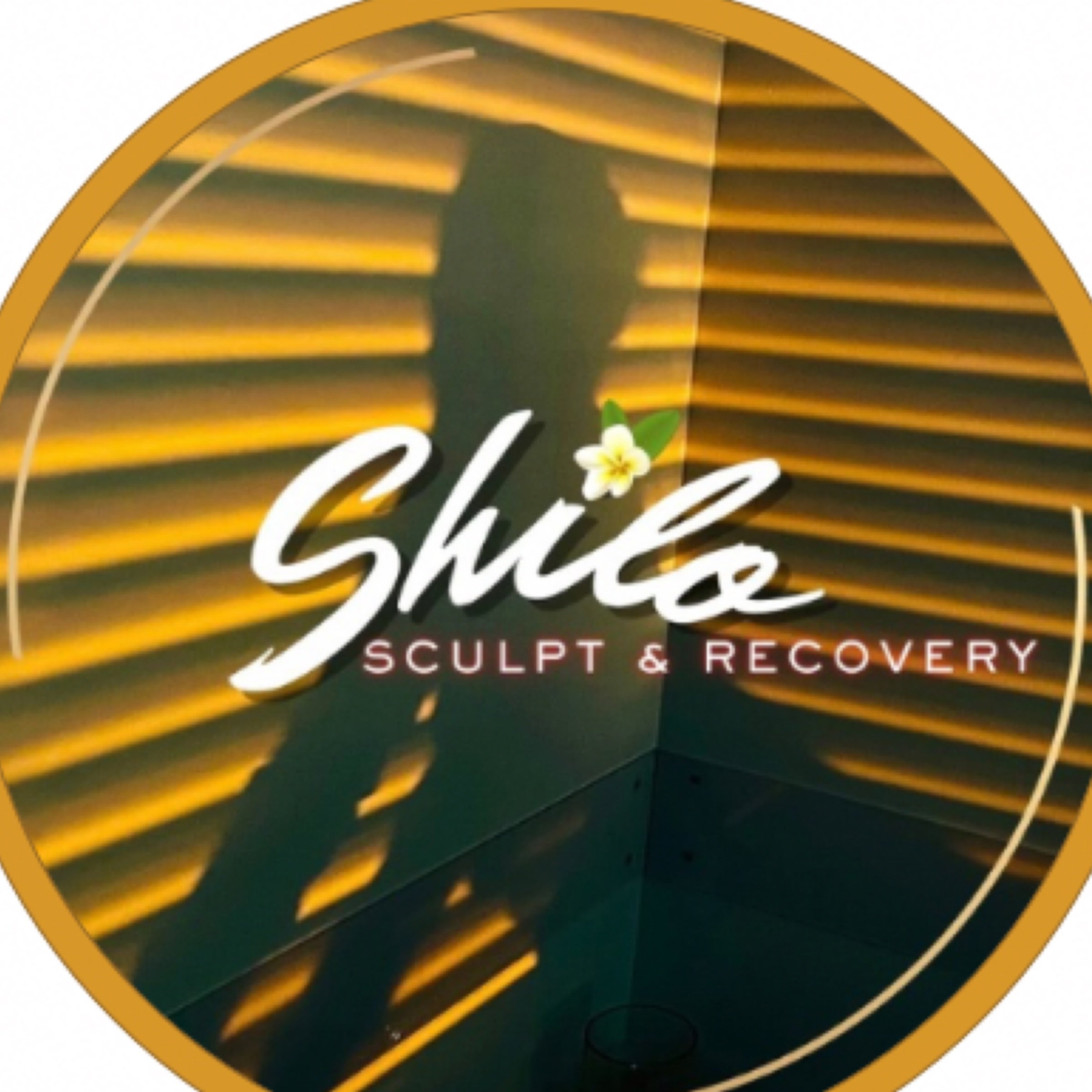 Flawless Beauty By Shilo LLC