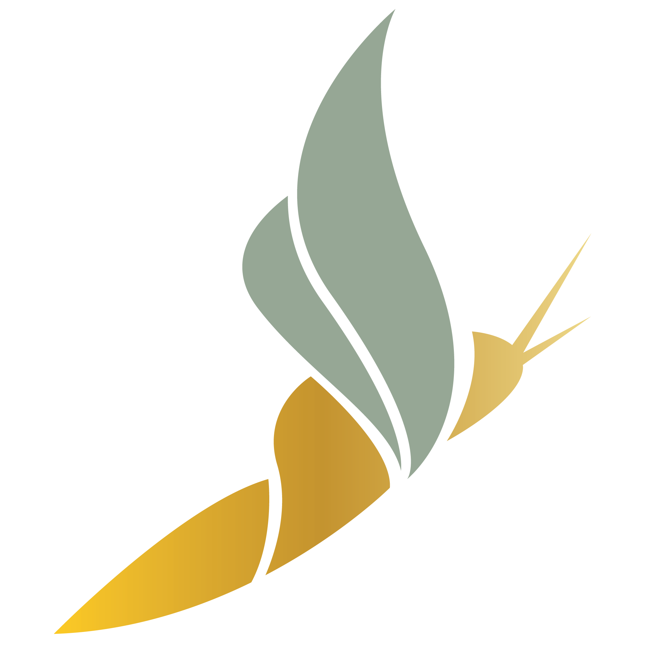 Envy Infusion Lounge, LLC