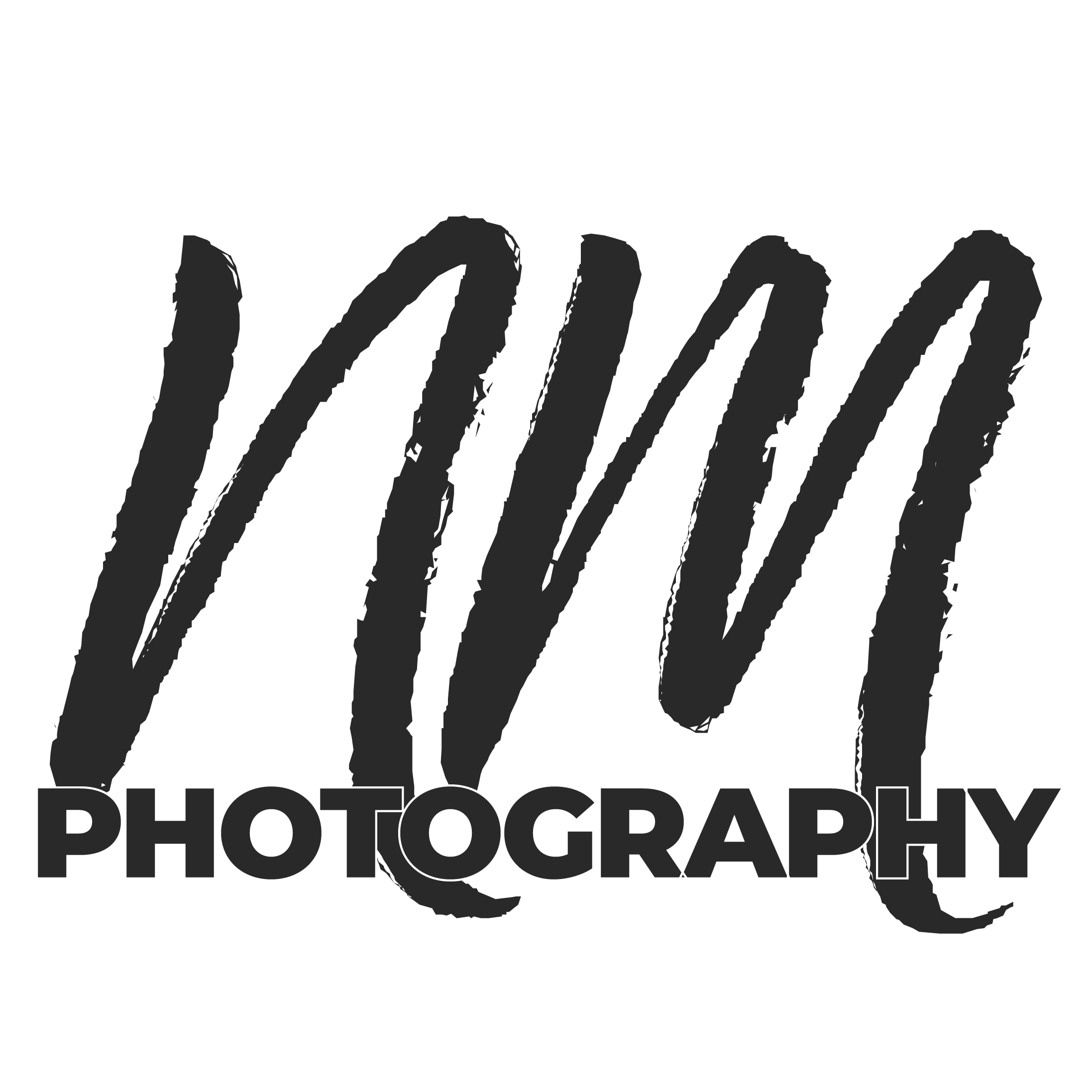 Nikki Metzler Photography, LLC