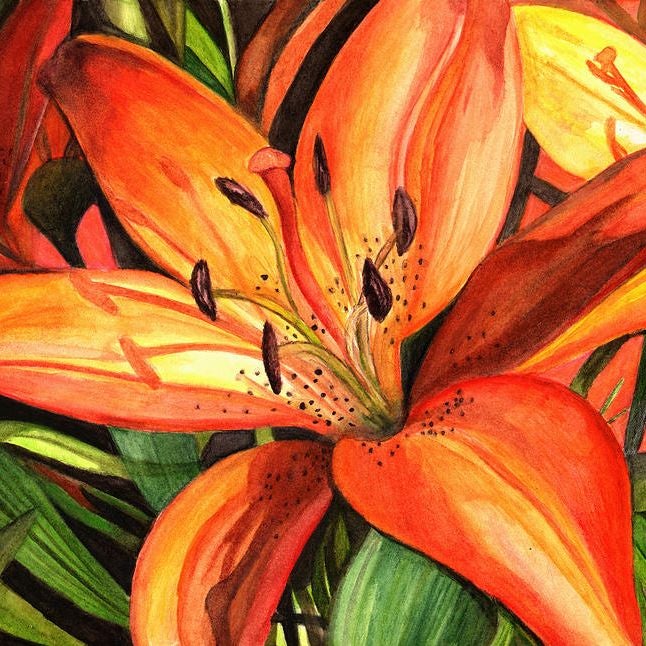 Tiger Lily Collectables