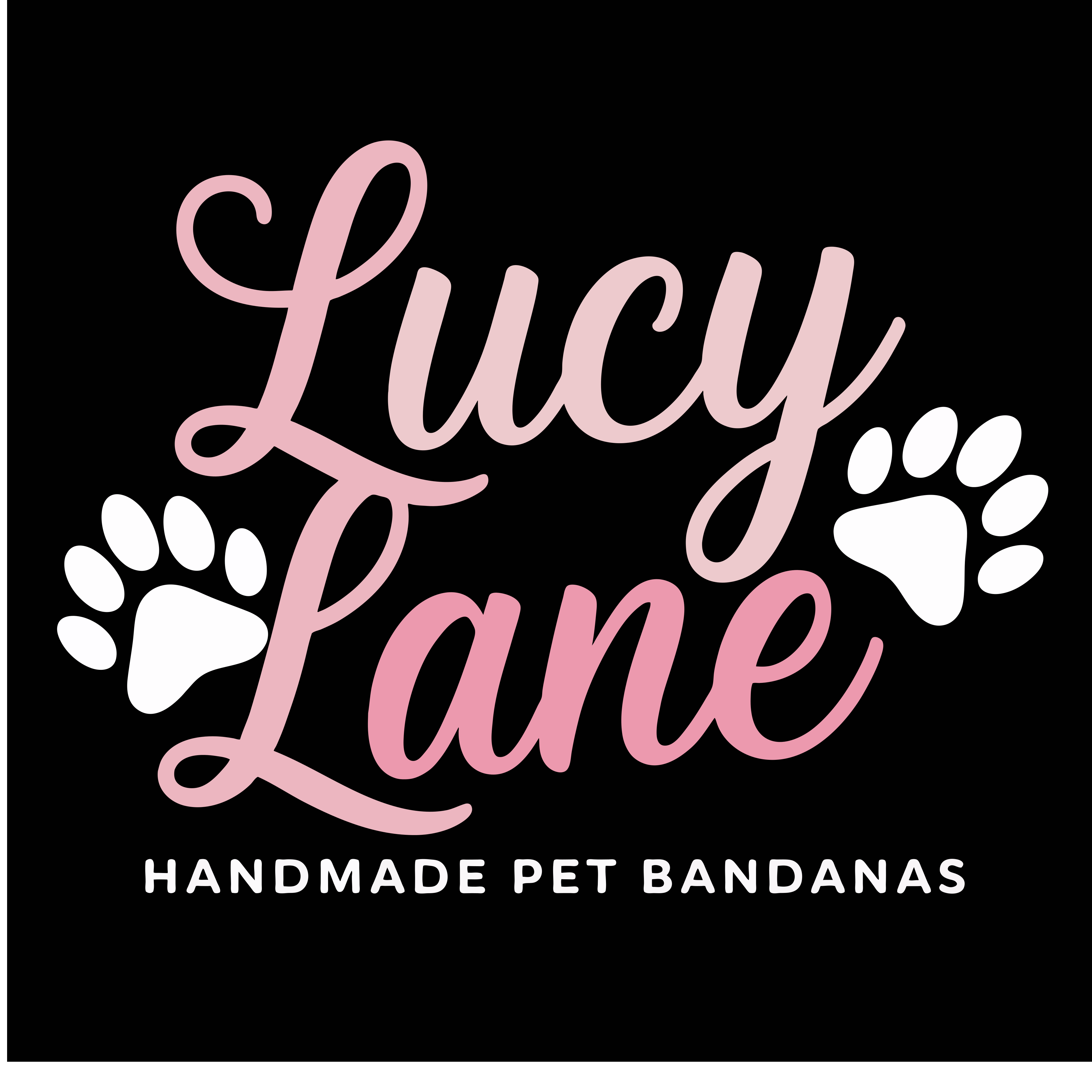 Lucy Lane