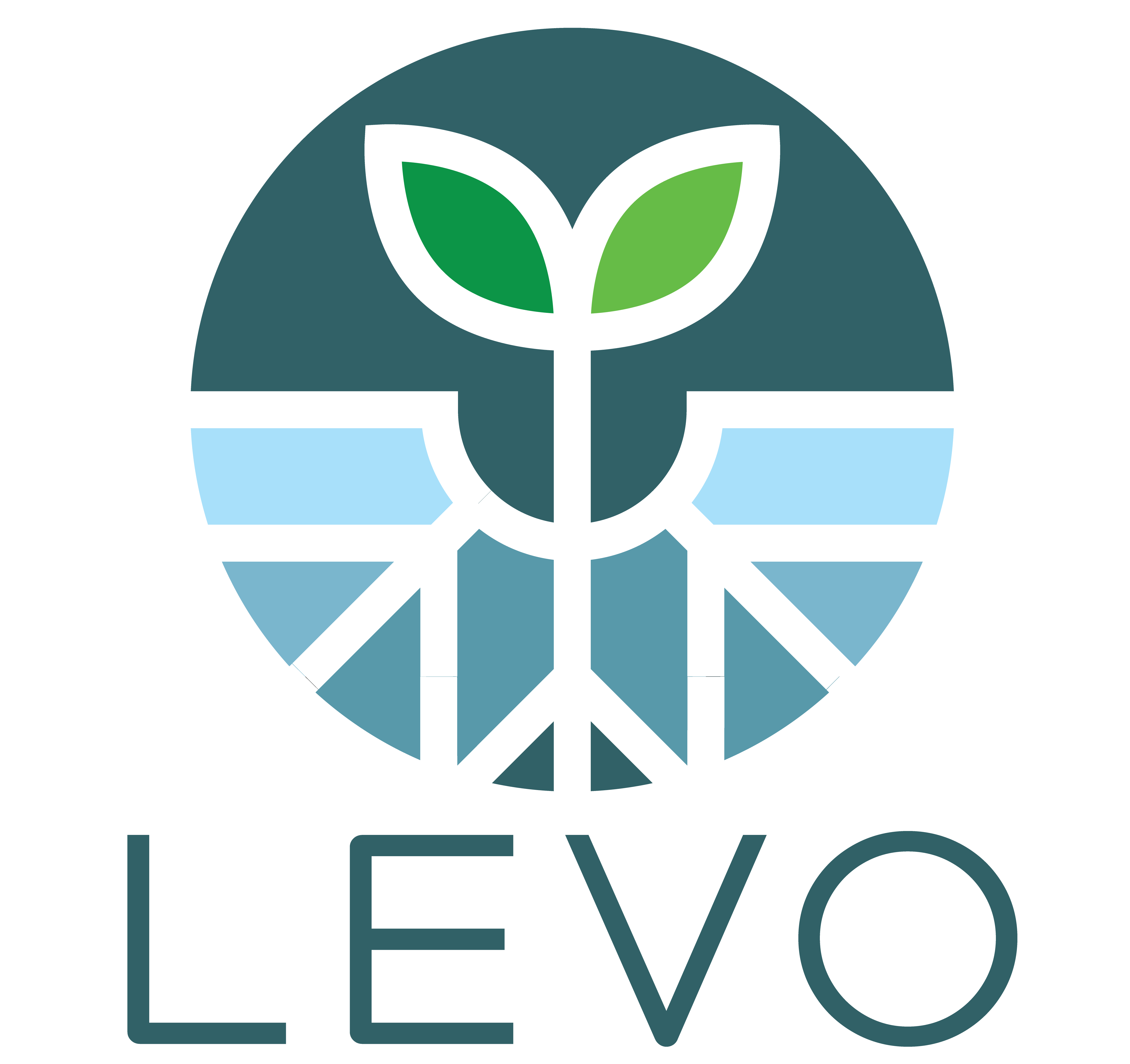 Levo International