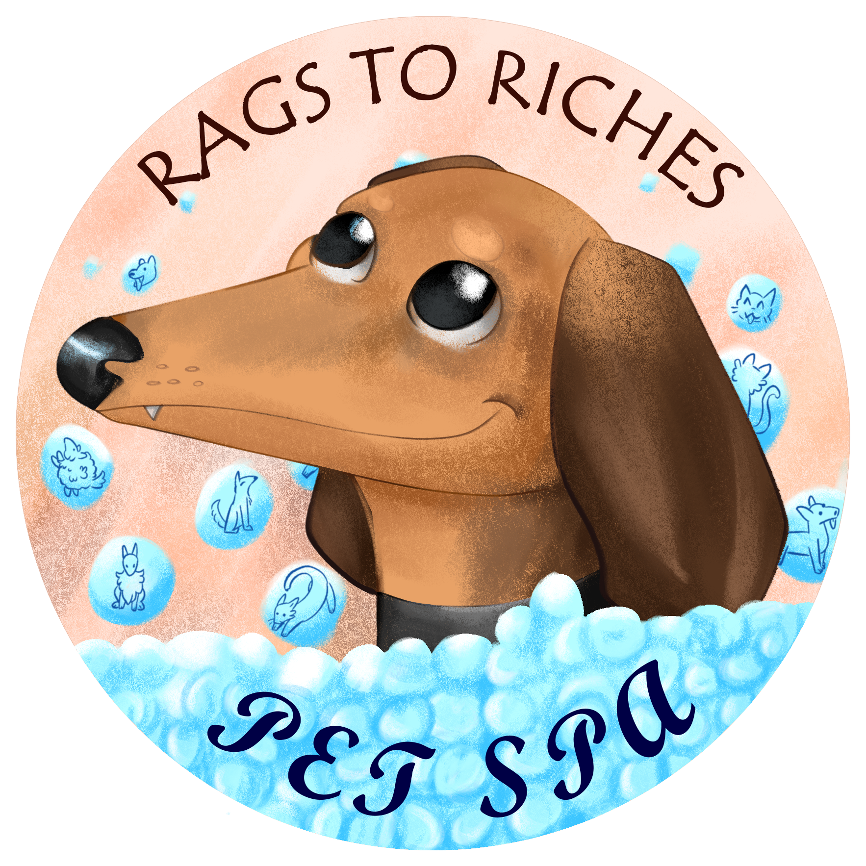 Rags To Riches Pet Spa