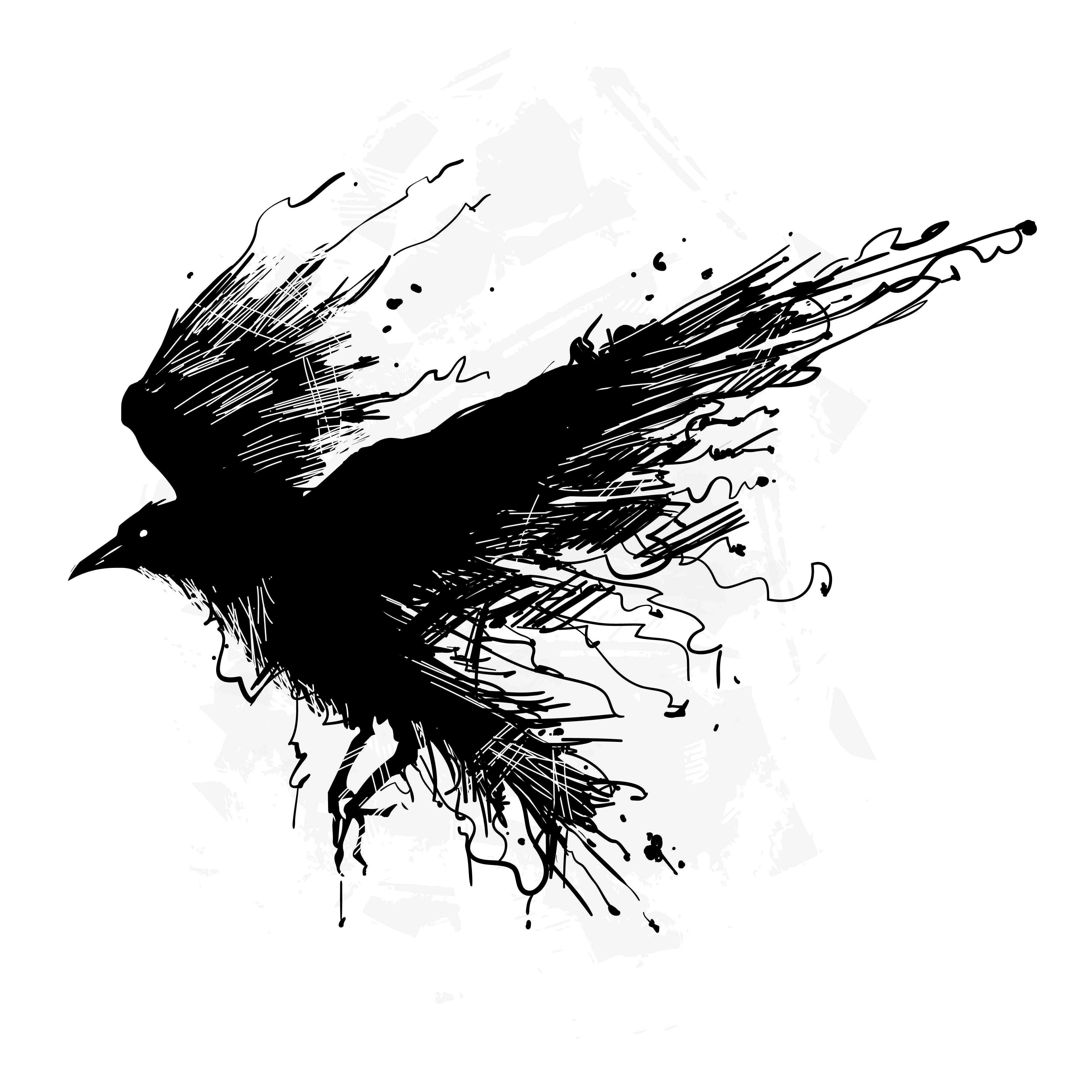 Storm Crow