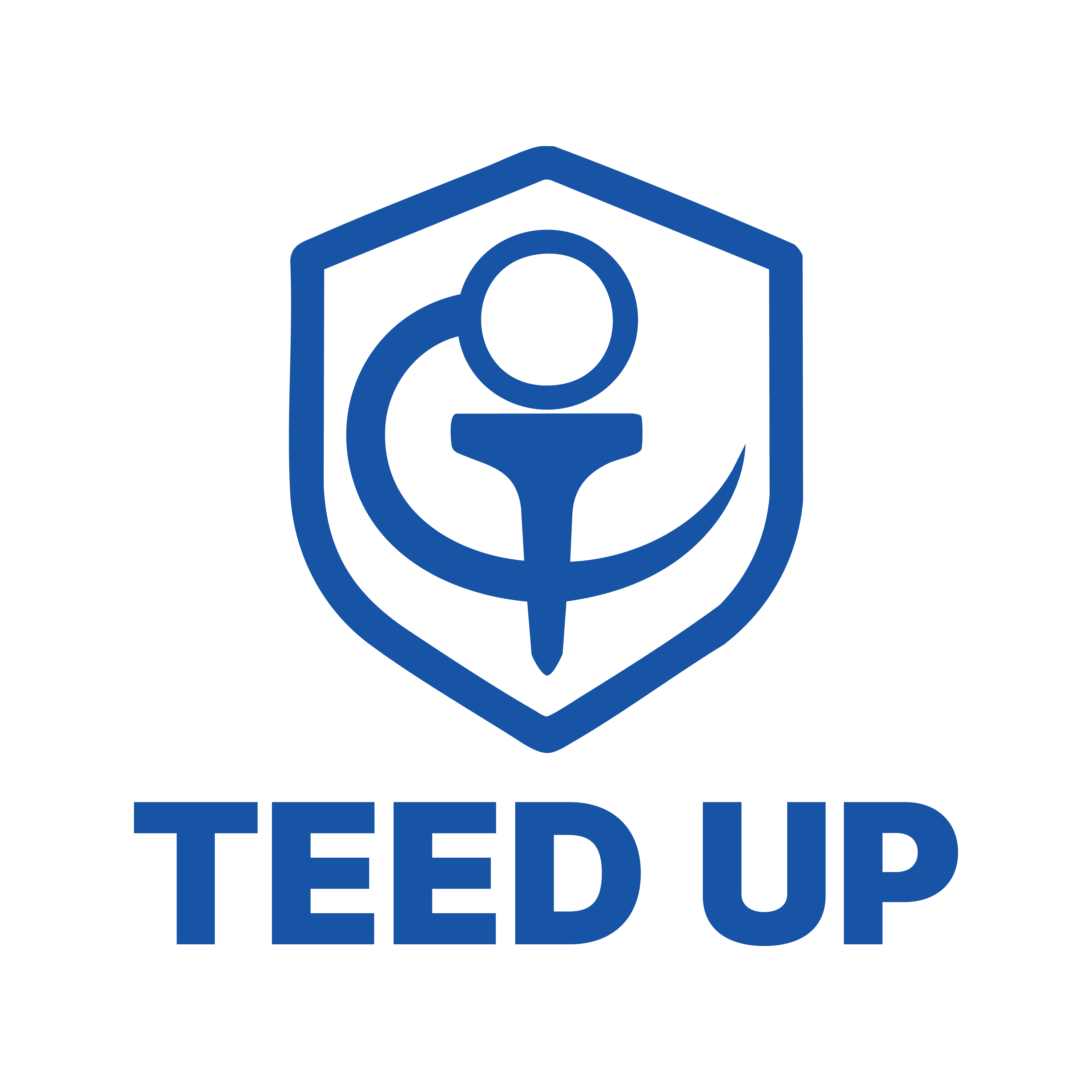 Teed Up Virtual Golf Club