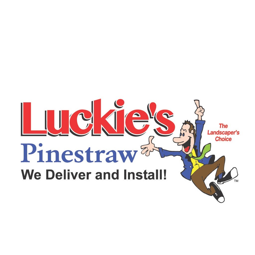 Luckie's Pinestraw