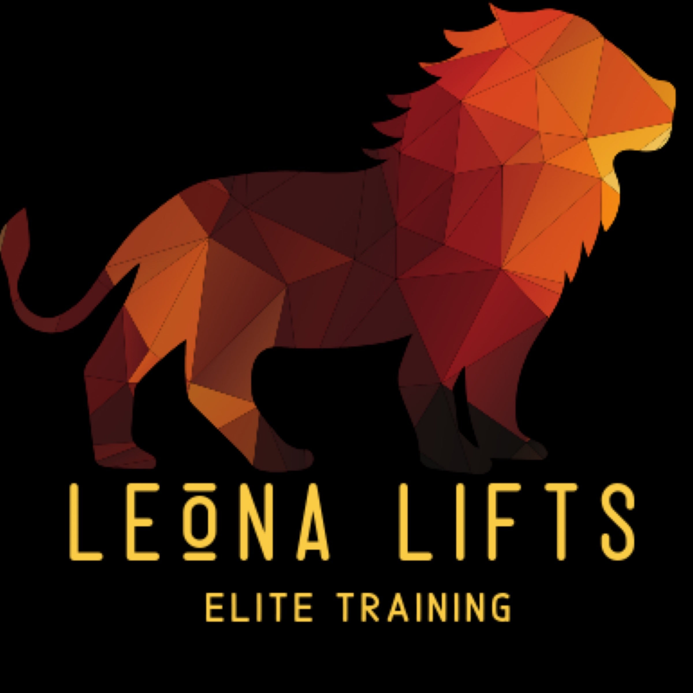 Leona Lifts