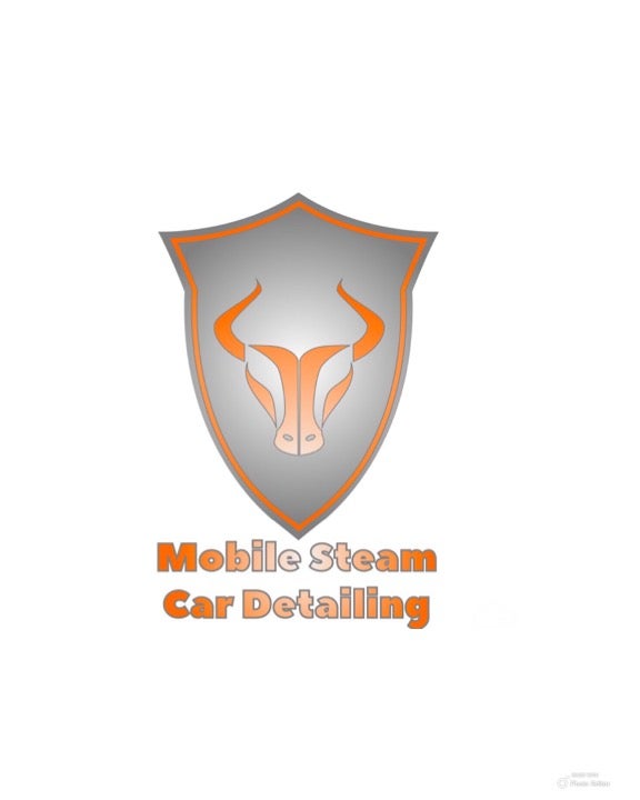 Mobile Steam Car Detailing