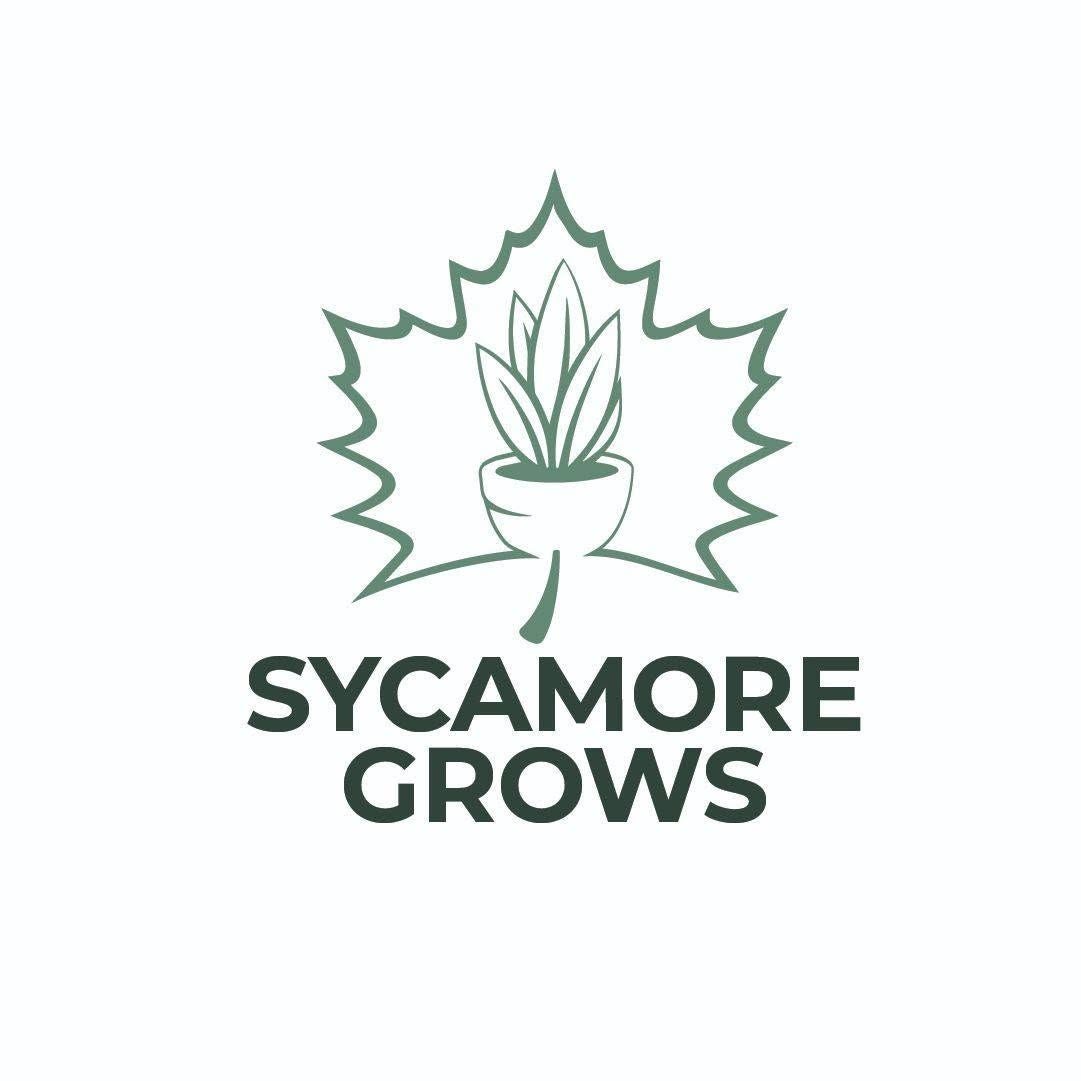 Sycamore Grows Inc