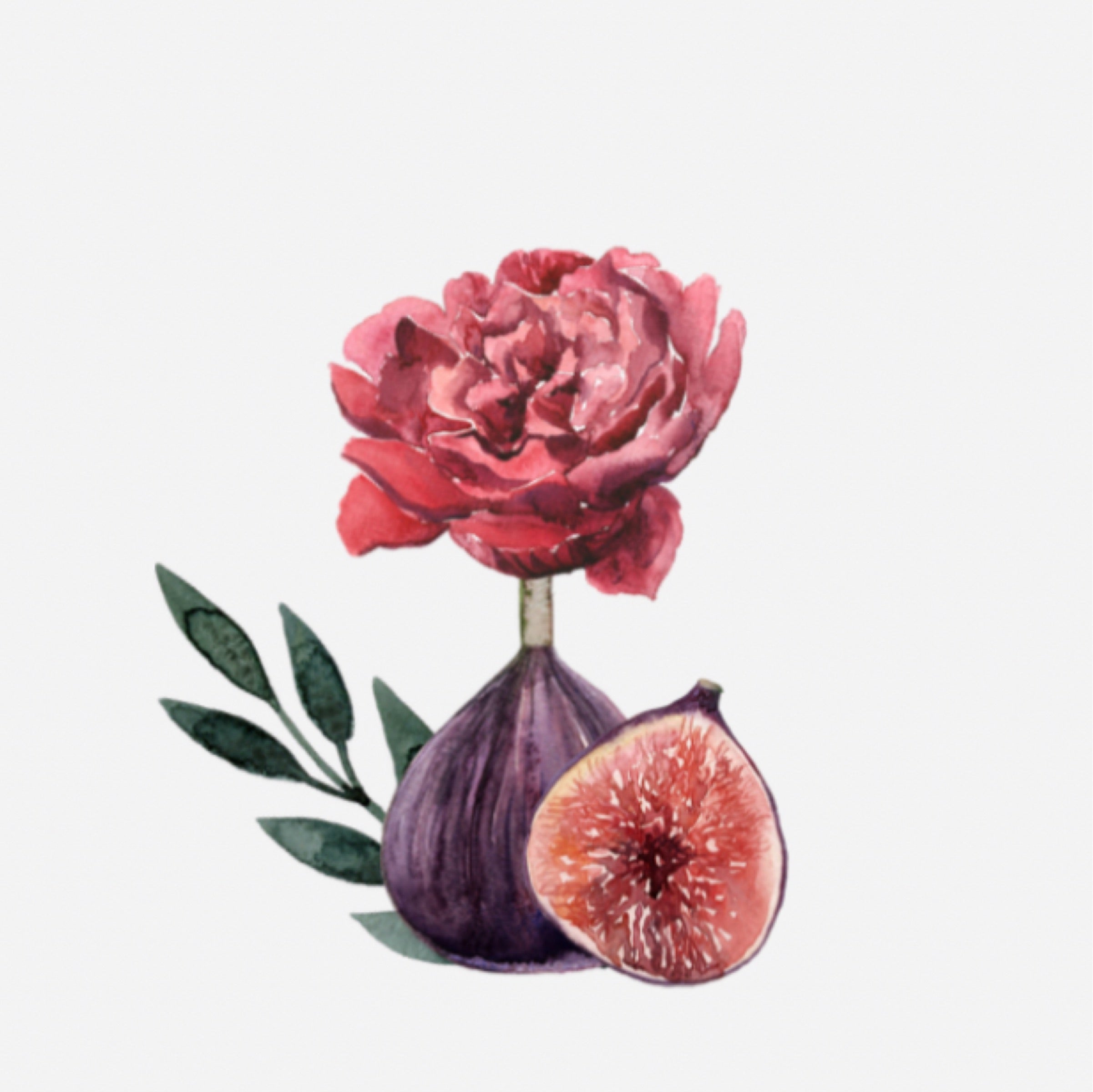 Peony & Fig