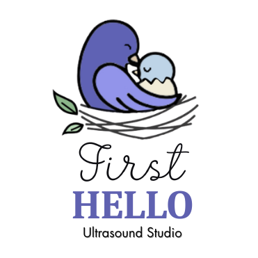 First Hello Ultrasound Studio