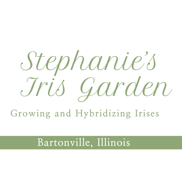 Stephanie's Iris Garden