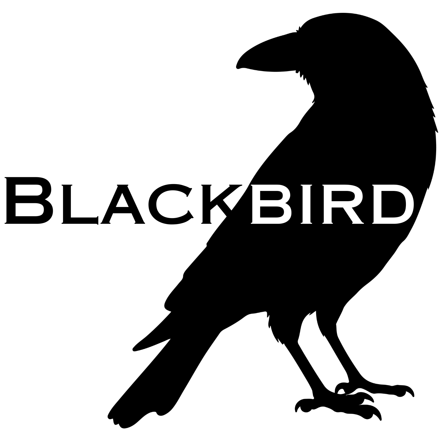 Blackbird