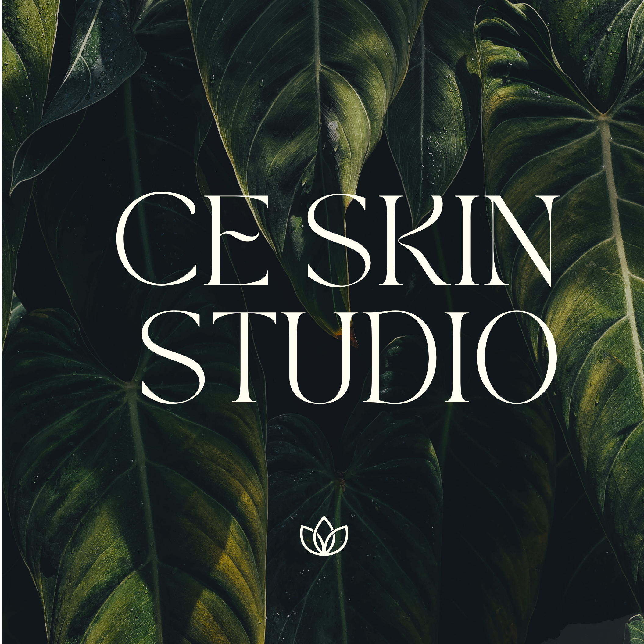CE Skin Studio
