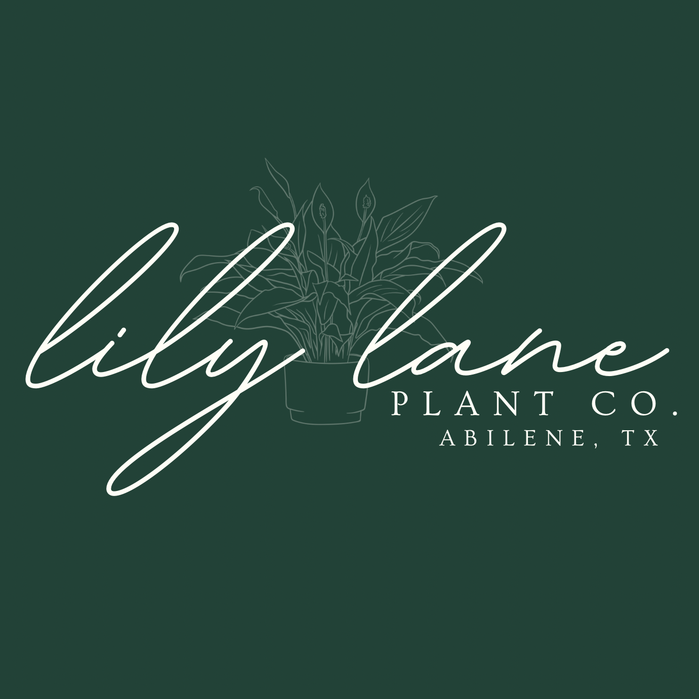 Lily Lane Plant Co.