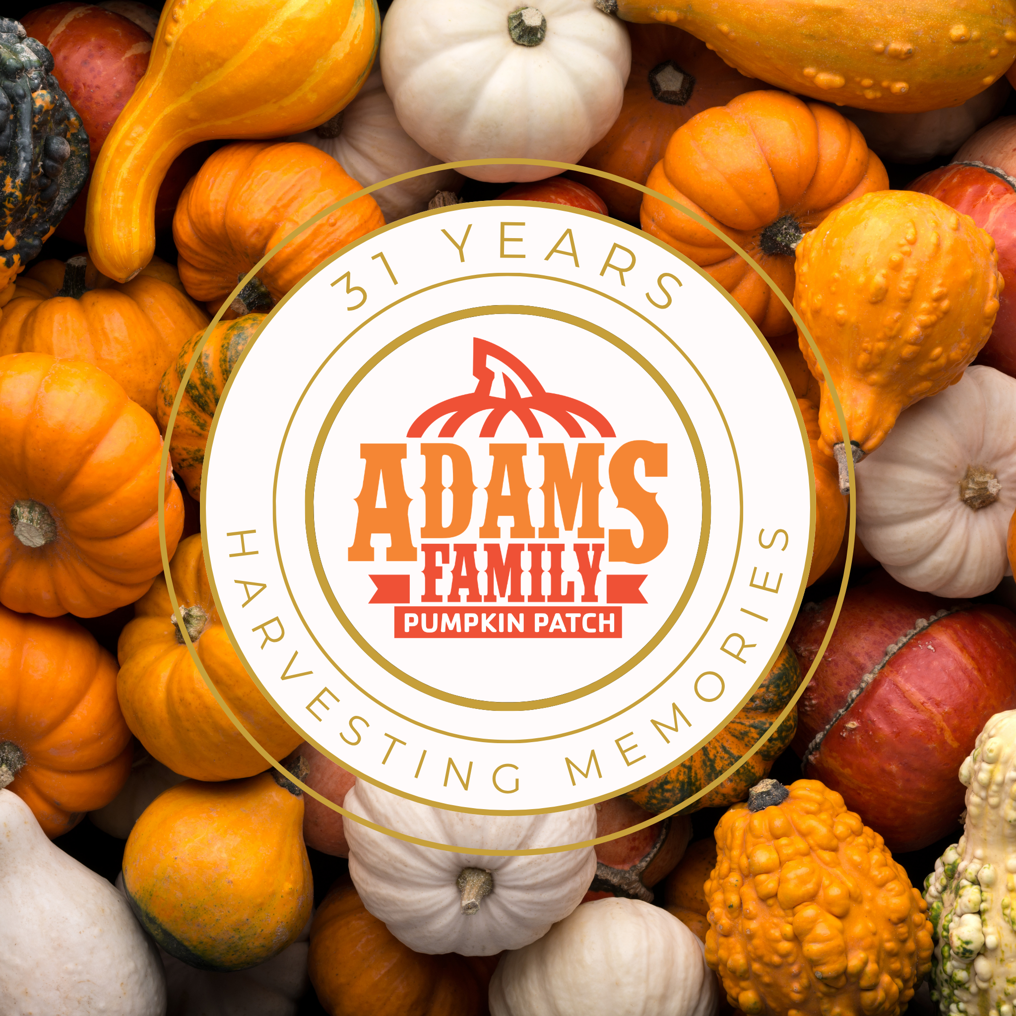 Adams Family Pumpkin Patch