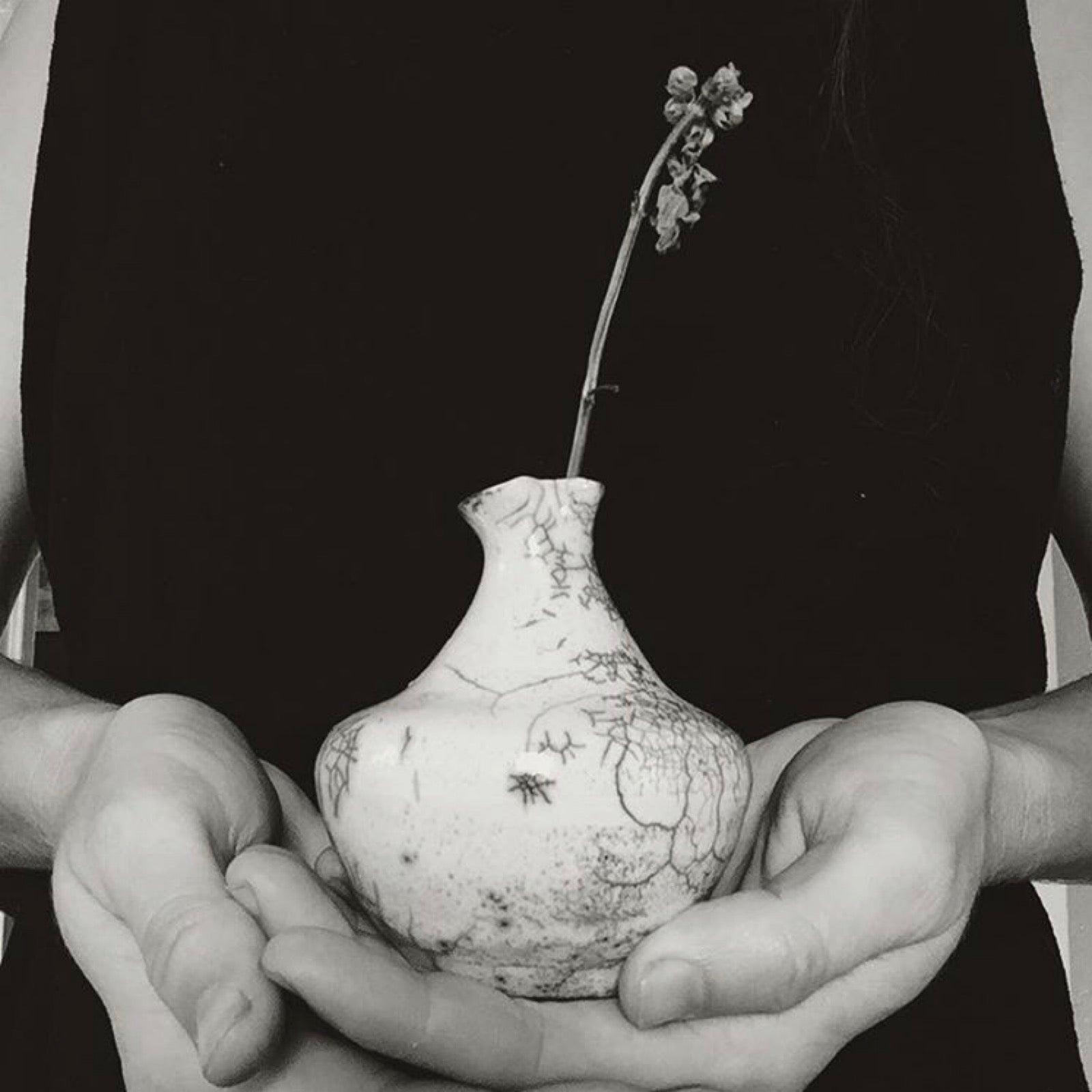 Terre Noire Apothecary