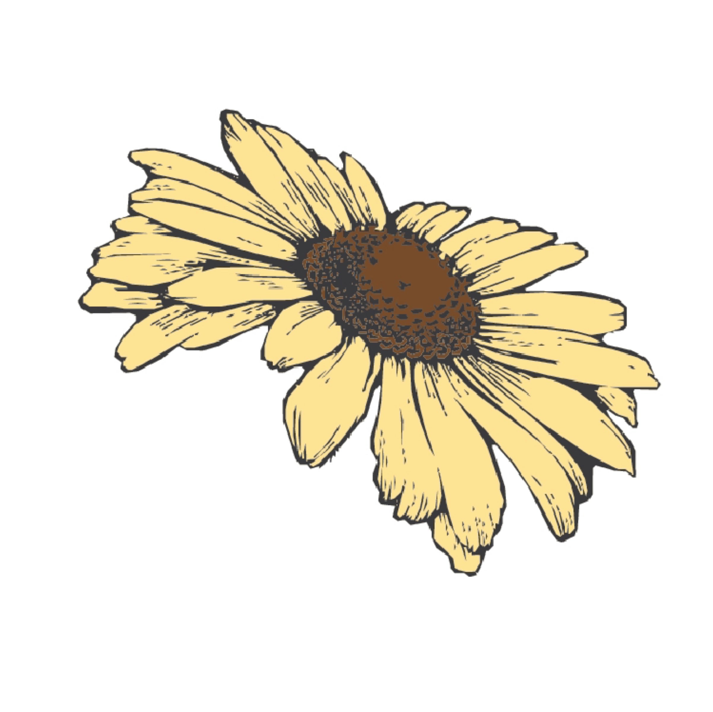Southern Beauty Skin