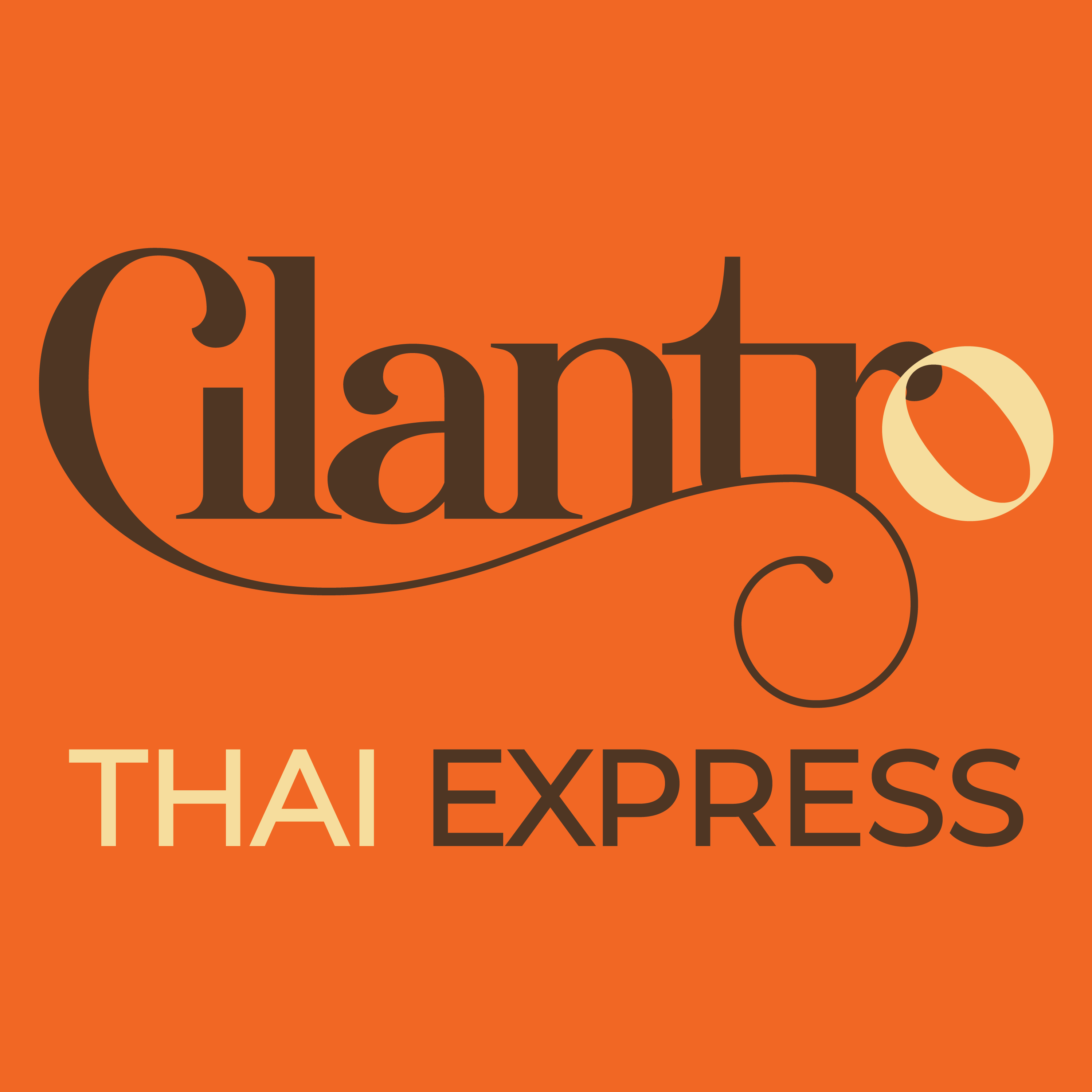 Cilantro Thai Express