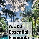 A.C&J Essential Elements