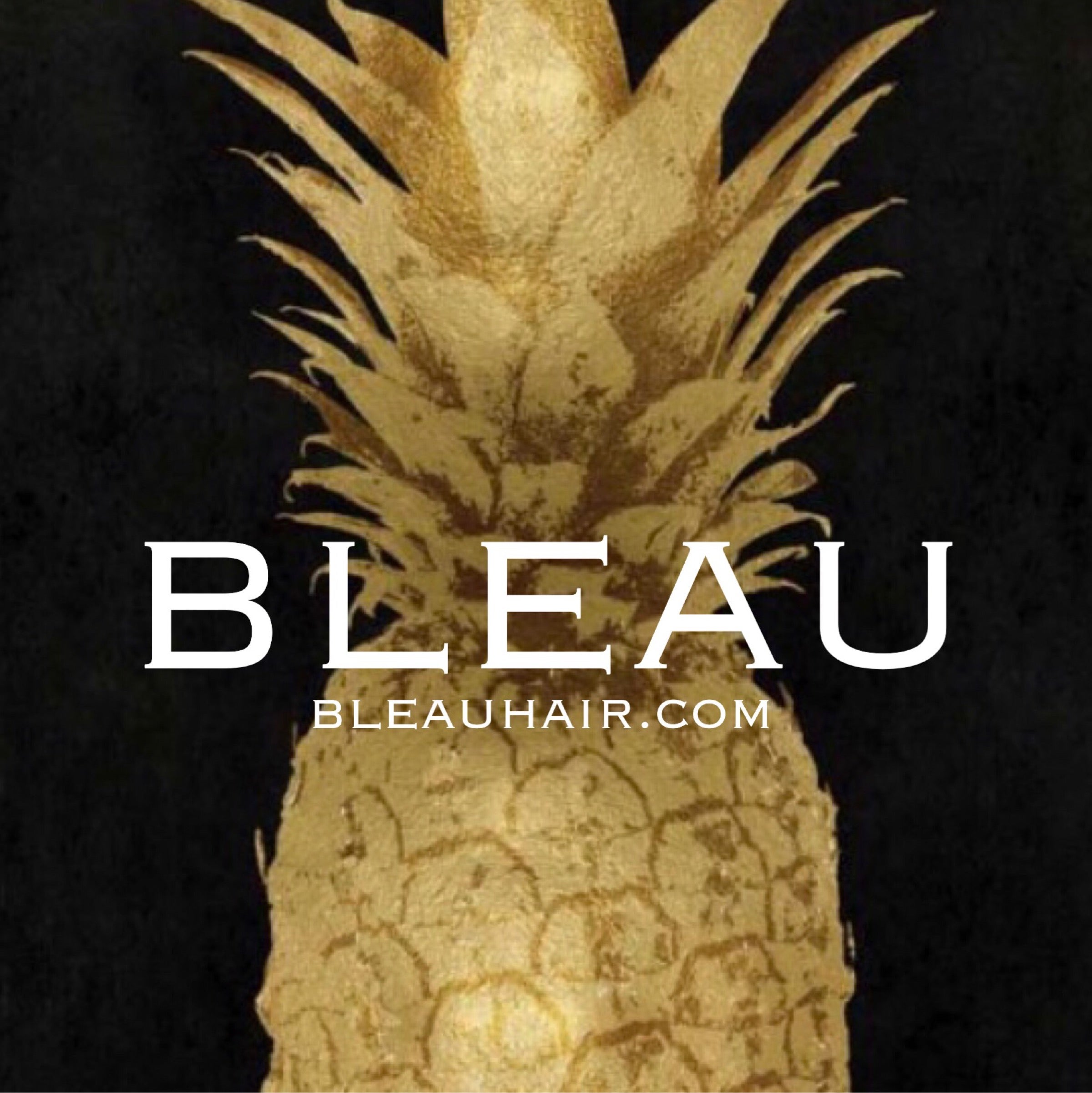 Bleau Hair & Co.