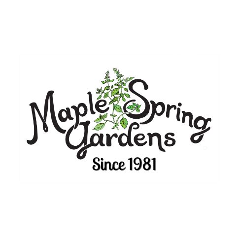 Maple Spring Gardens