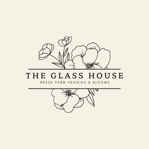 THE GLASS HOUSE