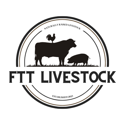 FTT Livestock LLC
