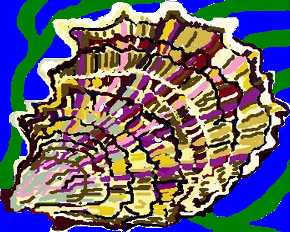 Grassy bar oyster company