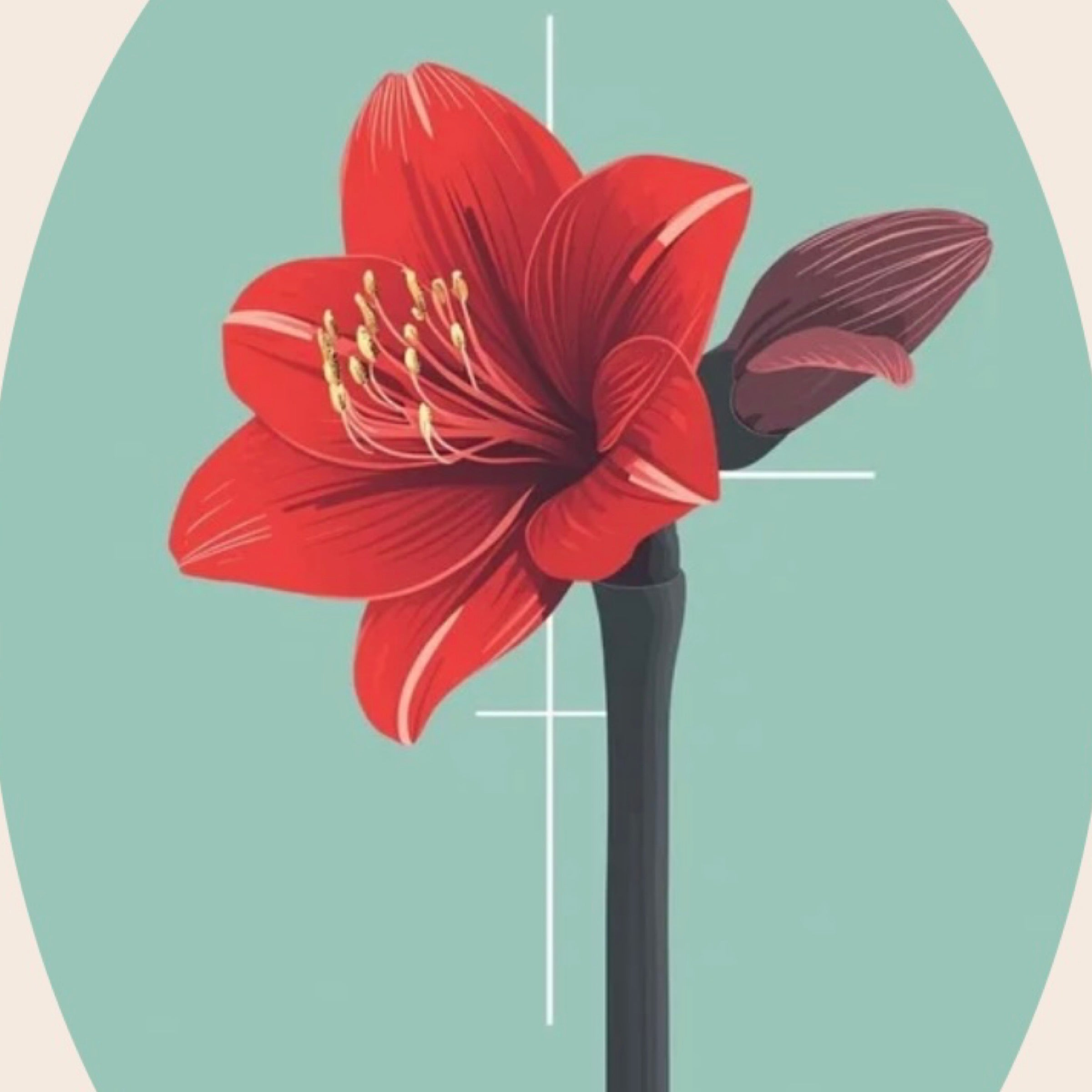 Amaryllis Resonance Massage