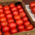 Nelson Produce