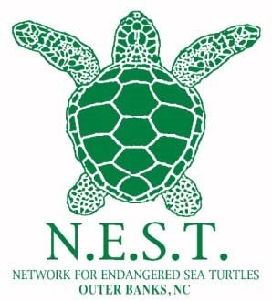 Network for Endangered Sea Turtles, Inc.