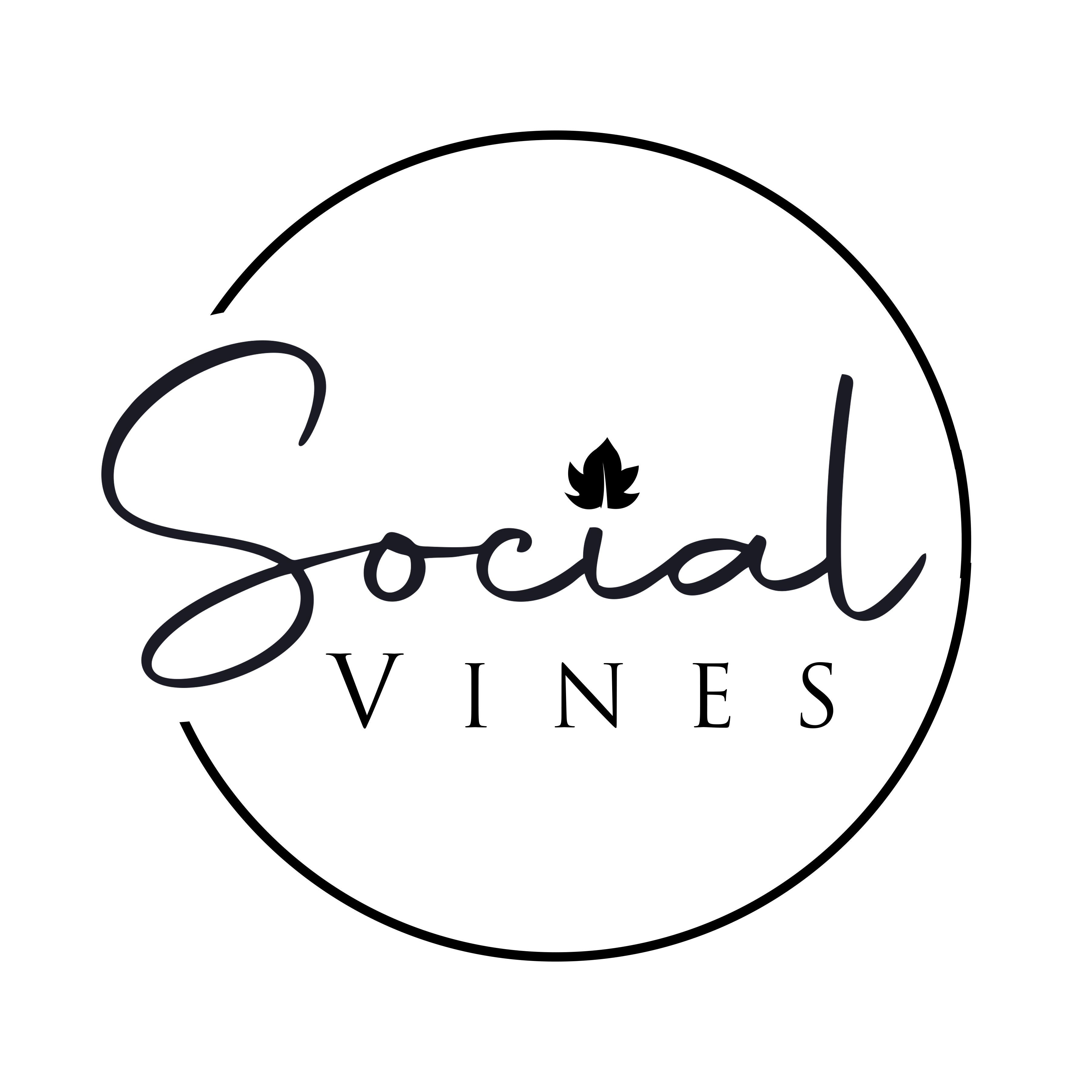 Social Vines LLC